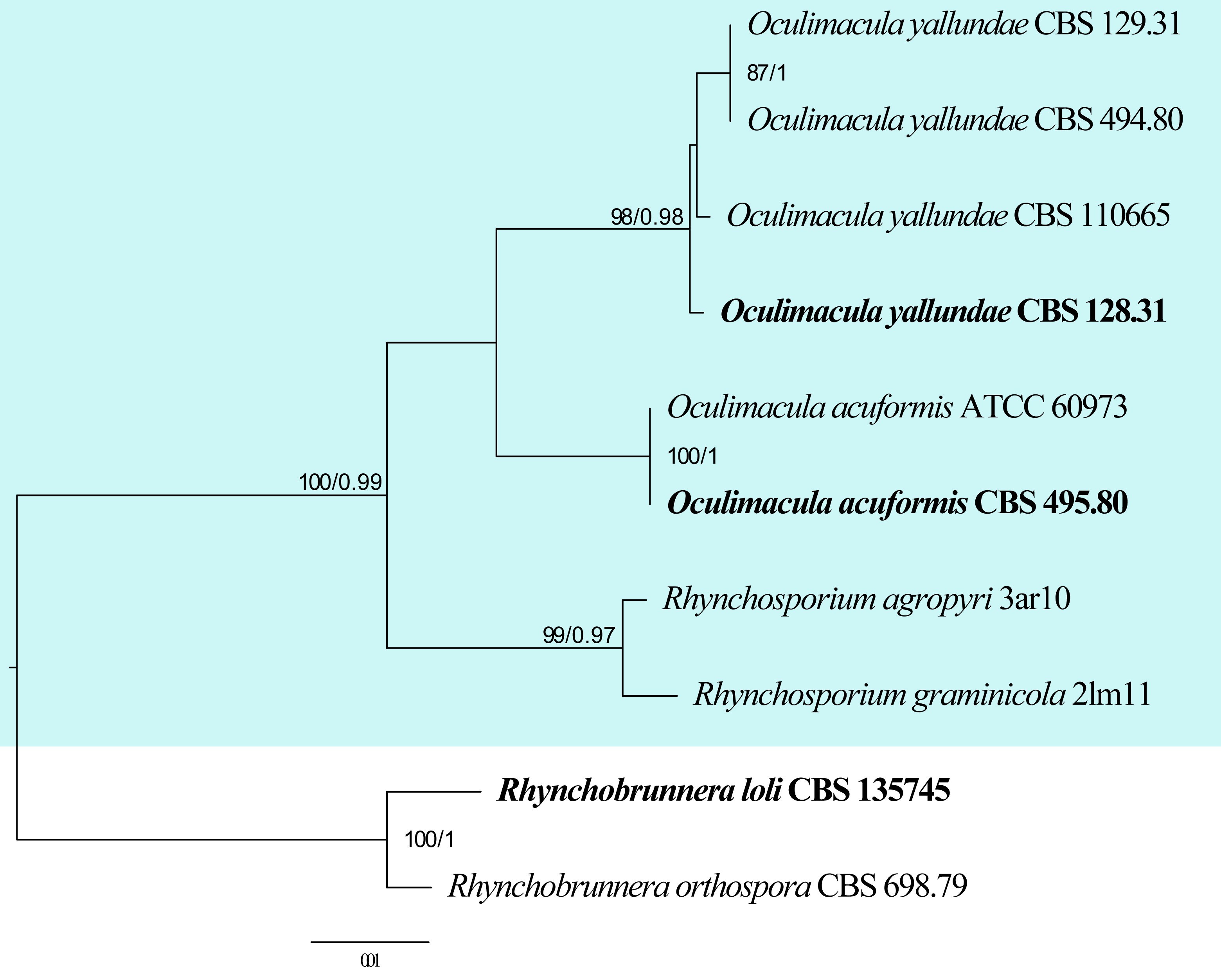 Figure 26